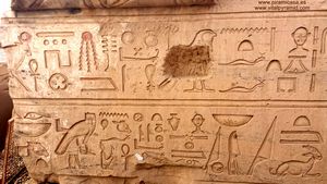 Biolog&iacute;a en Kom Ombo