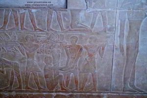 Muro cripta mereruka