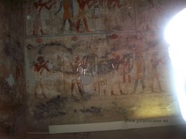 An&aacute;lisis Qu&iacute;micos antiguos