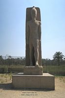 Al Fay&uacute;n museo