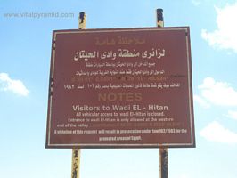 Valle de las Ballenas Egipto