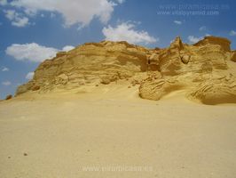 Fosiles Ballenas Egipto
