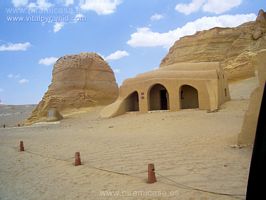 Fosiles Ballenas Egipto