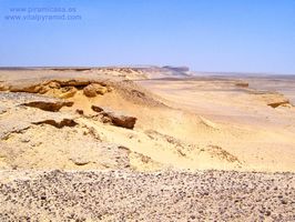 Yacimiento Balle de las Ballenas