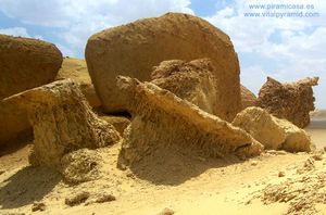 Detalle Valle de las Ballenas
