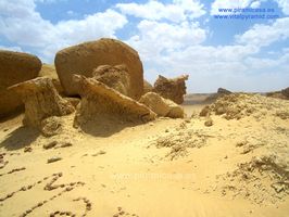 Yacimiento Valle de las Ballenas Egipto