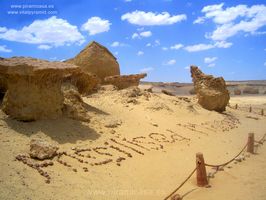 Valle de las Ballenas