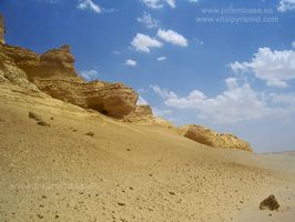 Ballenas F&oacute;siles
