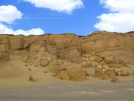 Coordenadas Valle de las Ballenas