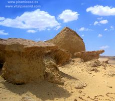 F&ouml;siles de Ballenas de en Egipto