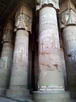 Enormes columnas