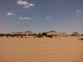 Dunas y Oasis