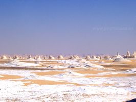 Raras formas del desierto
