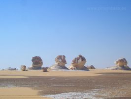 Guardianes del Desierto