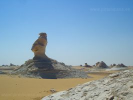 Guardi&aacute;n de roca