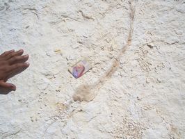 Mineral aparente serpiente