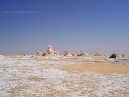 Colosos del Desierto
