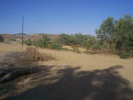 Oasis Desierto Blanco