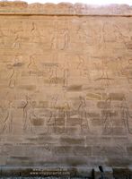 Muro Edfu Grabado