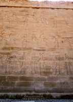 Muro Templo Horus en Edfu