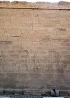 Dioses en Egipto