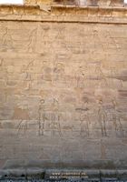 Muro del templo de Horus