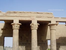 Impresionantes capiteles