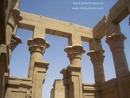 Columnas lotiformes