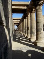 fila de columnas
