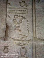 Jerogl&iacute;fico espermatozoide en subterr&aacute;neo  en Guiza