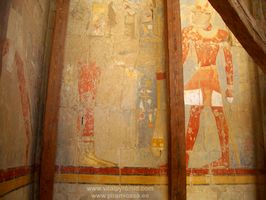 Inseminaci&oacute;n Artificial Hatshepsut