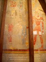 Inseminaci&oacute;n Artificial Reina