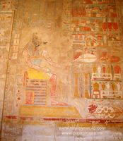 Anubis Conserva Alimentos