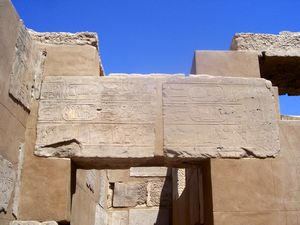 Biologia en Egipto,  en la  Isla Elefantina