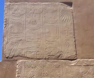 Biologia en Egipto,  en la  Isla Elefantina