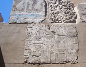 Biologia y animales en la  Isla Elefantina