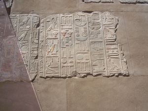 Biologia y animales en la  Isla Elefantina