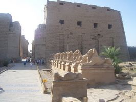 Avenida de Jnum Entrada