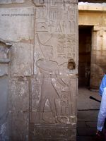 Corona Roja y pluma de Juez