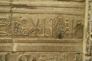 Parto  jerogl&iacute;ficos en Kom Ombo