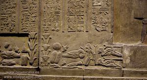 Grabado fisiotreapia en Kom Ombo