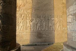  jerogl&iacute;ficos en Kom Ombo