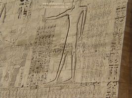 Sentencia Fara&oacute;n