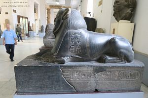 Museo de El Cairo fotos im&aacute;genes