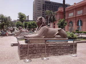 Esfinges  Museo de El Cairo fotos im&aacute;genes