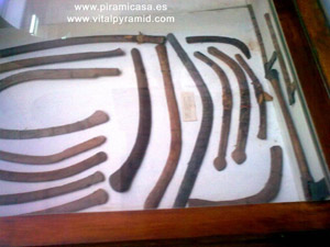 Boomerang bumerang Museo de El Cairo fotos im&aacute;genes