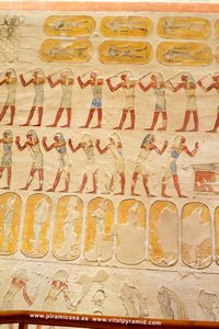 Jerogl&iacute;ficos  cripta del Valle de los Reyea