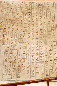 Jerogl&iacute;ficos  cripta del Valle de los Reyea